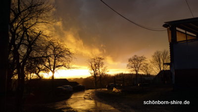 Sonnenuntergang in Schönborn
